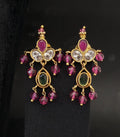 Beautiful Earrings ✨️
