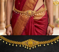 Lakshmi devi vadyanam 🥰